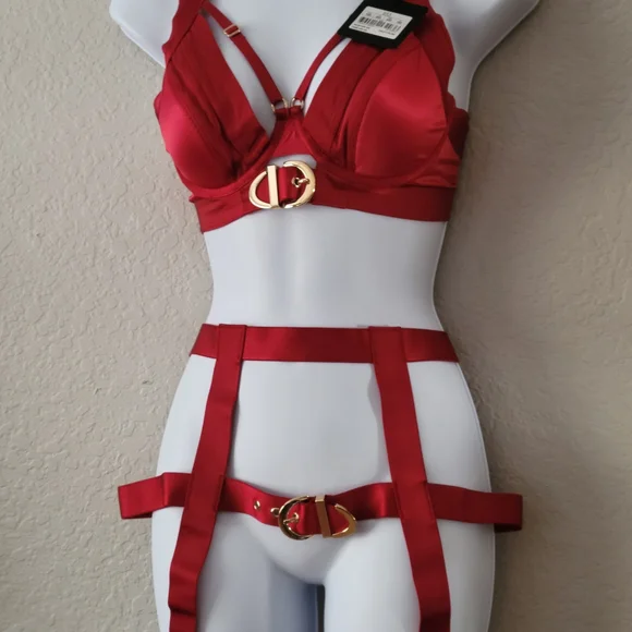 Honey Birdette Red Bra with Gold Accents - Picture 9 of 10